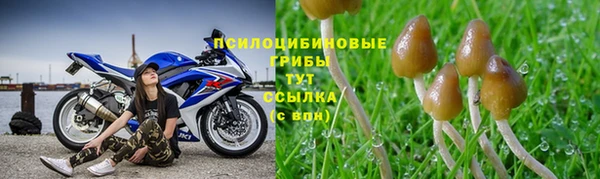 мяу мяу мука Балабаново